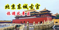 下载免费版黄色操逼图片中国北京-东城古宫旅游风景区