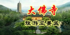 看特级操骚屄视频中国浙江-新昌大佛寺旅游风景区